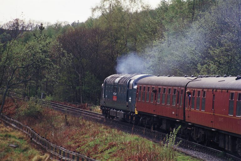 Royal Highland Fusilier